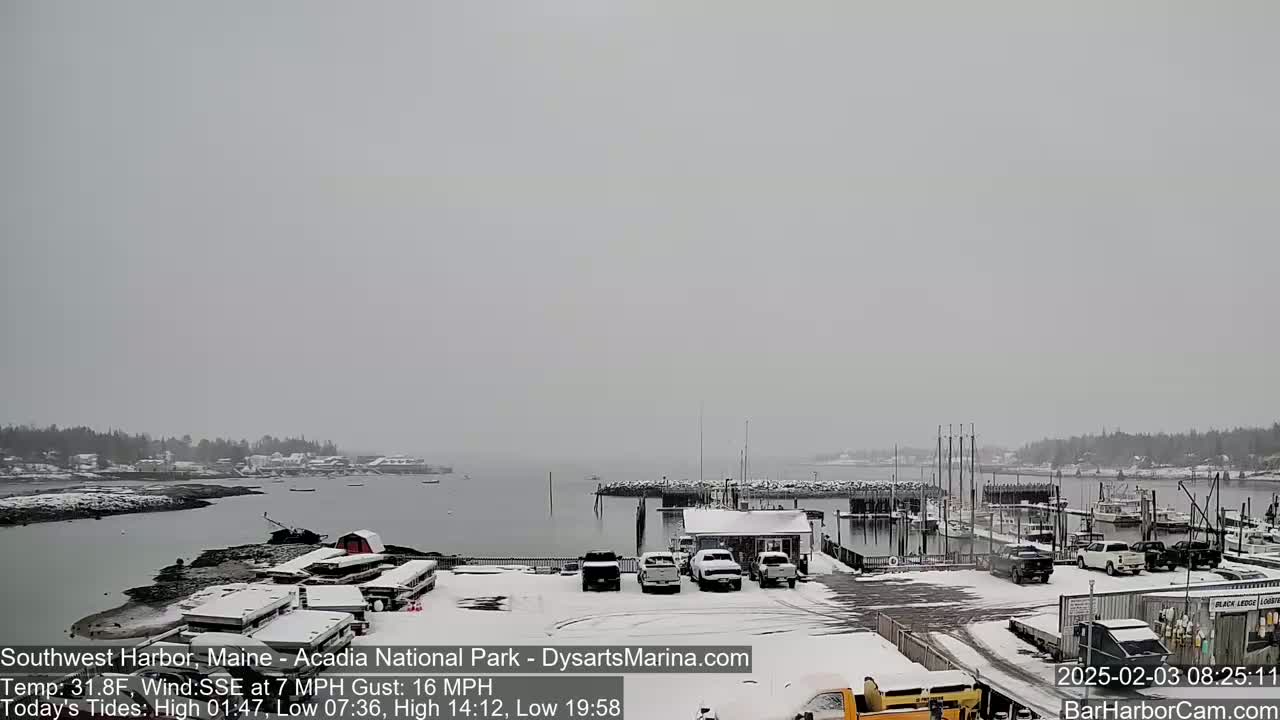 A snow-covered harbor scene shows a marina with several cars and boats, under an overcast sky.