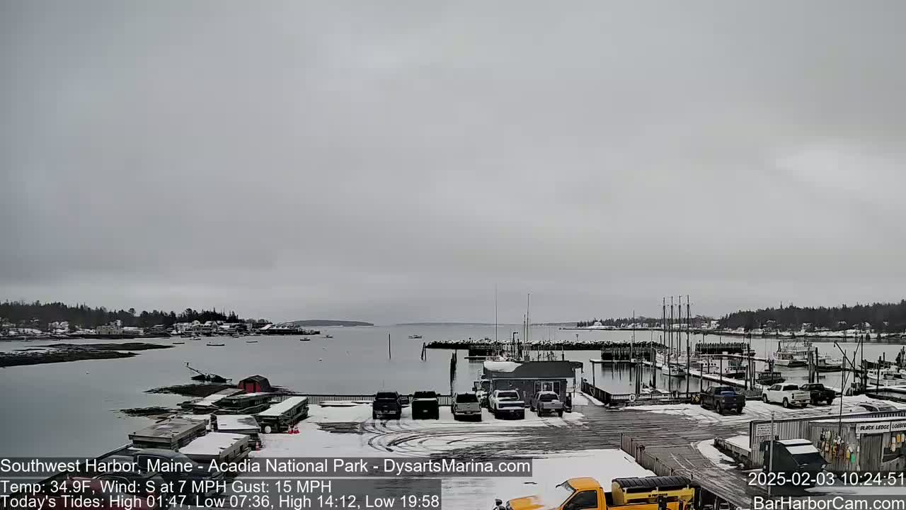A snow-covered harbor with boats docked, cars parked, and a gray overcast sky.