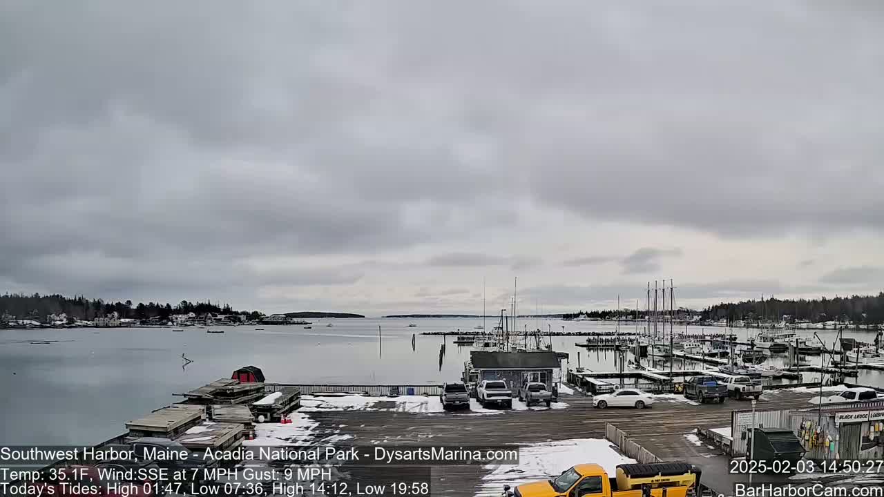 A snow-dusted marina with numerous boats and cars is shown under an overcast sky, overlooking a calm body of water and a distant shoreline.