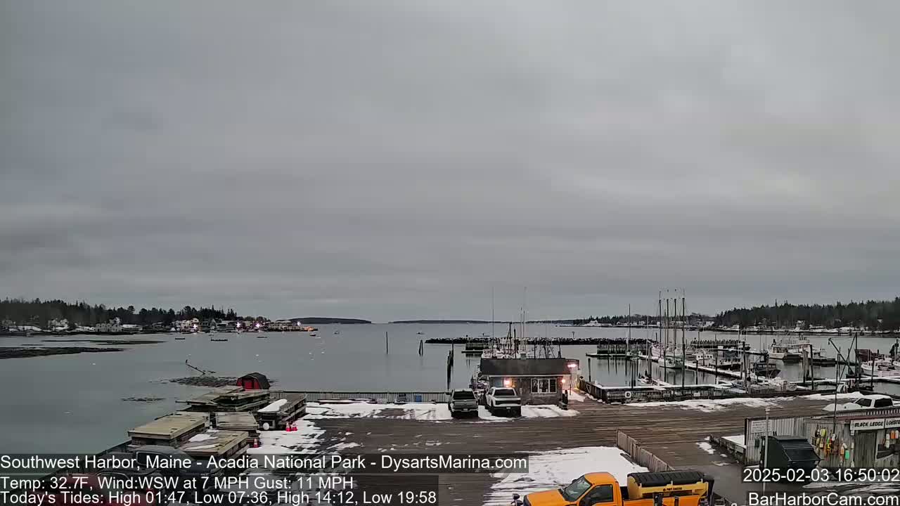 A snow-dusted harbor filled with boats is viewed under an overcast sky.