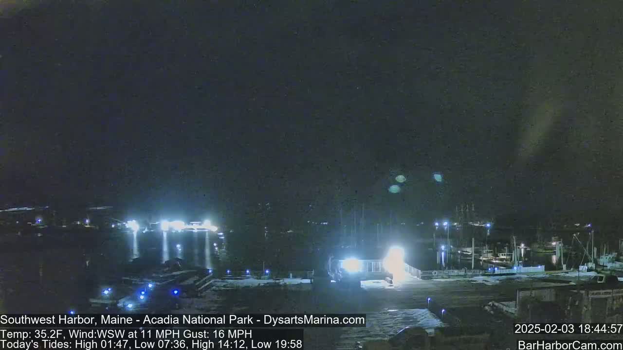A nighttime harbor scene with several boats docked, under a dark, clear sky.