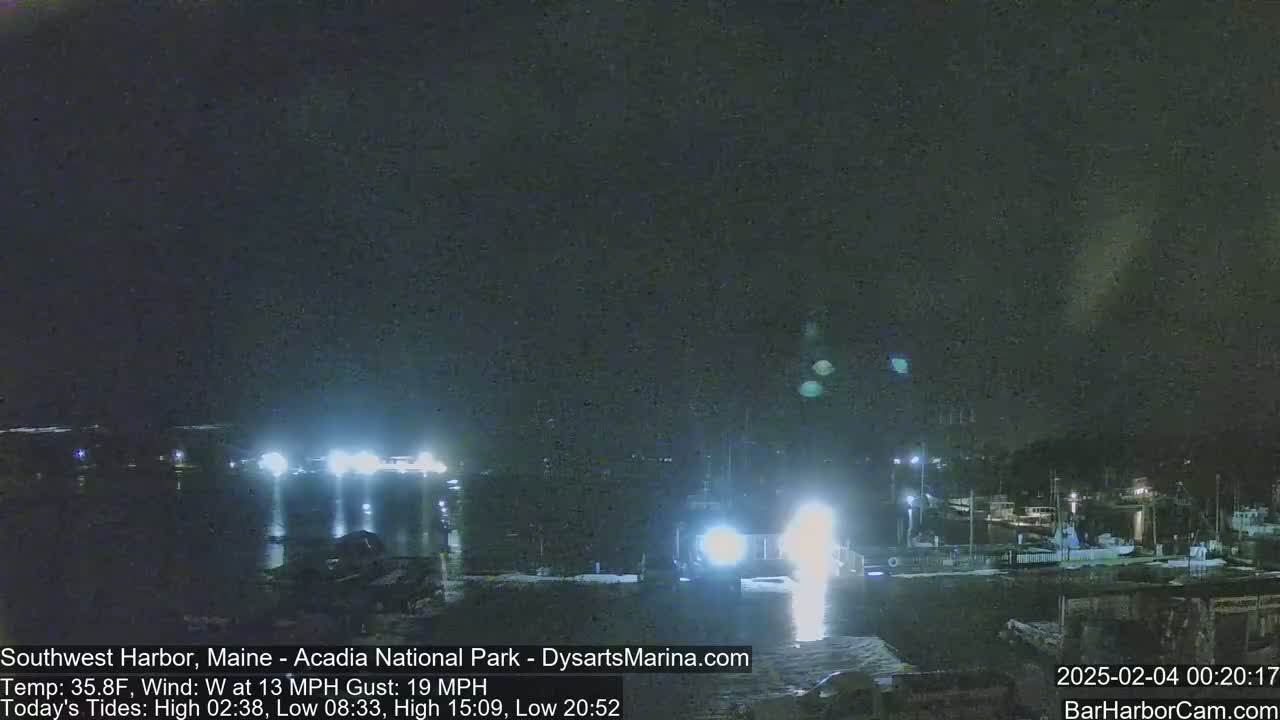 A nighttime harbor scene with boats illuminated by lights, under a dark sky with a 13 mph wind and gusts up to 19 mph.
