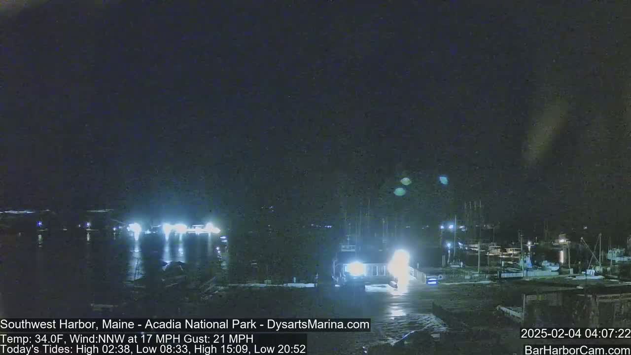 A nighttime view of a harbor with numerous boats docked under a dark, clear sky.
