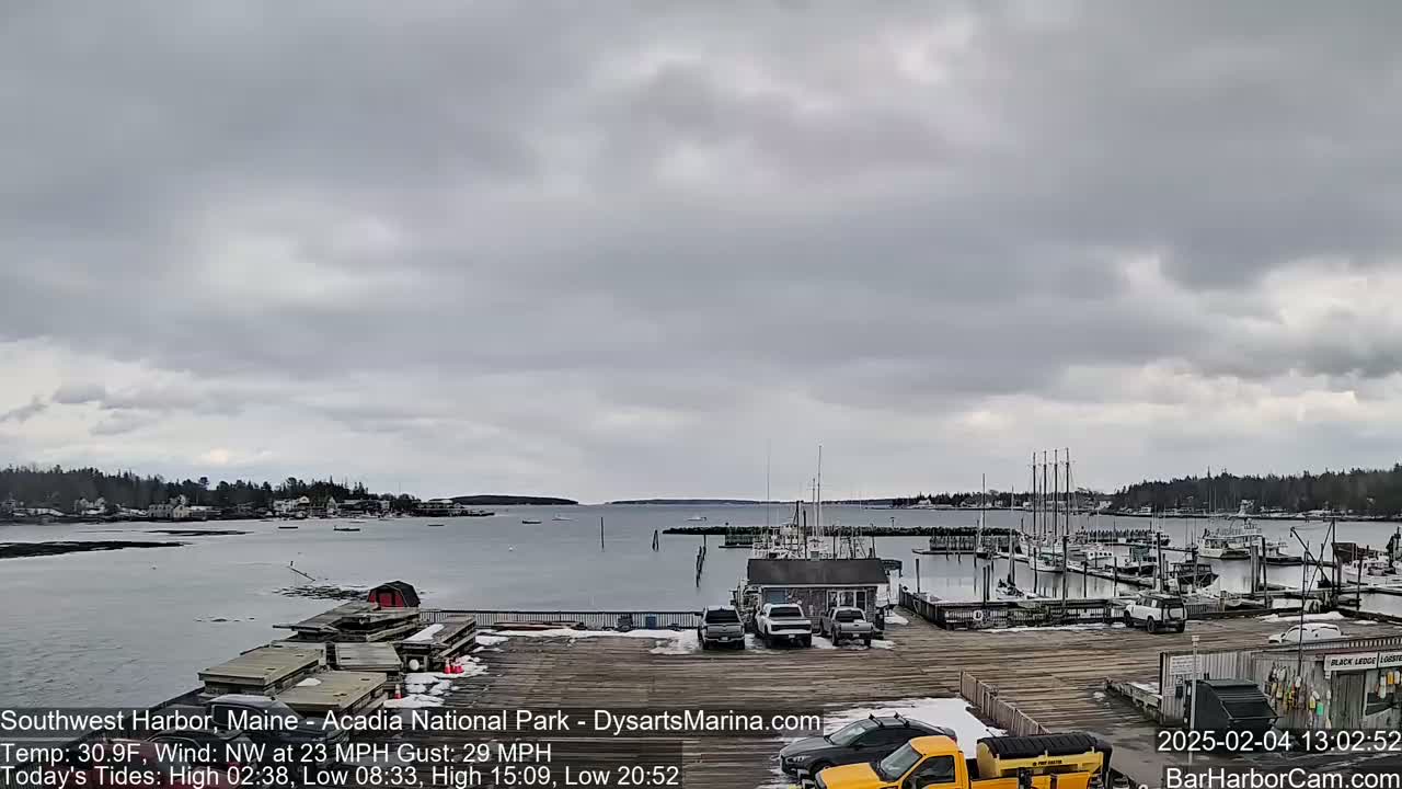 A harbor with docked boats and cars is partially covered in snow under an overcast sky.