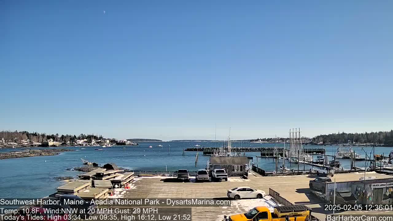 A harbor with docked boats and cars in a parking lot under a clear blue sky with a crescent moon visible.