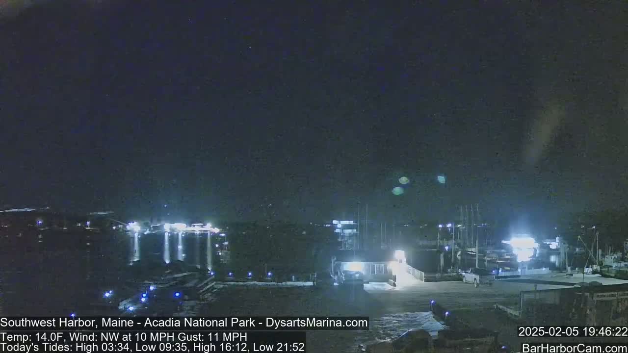 A nighttime view of a harbor with boats docked, under a dark, clear sky.