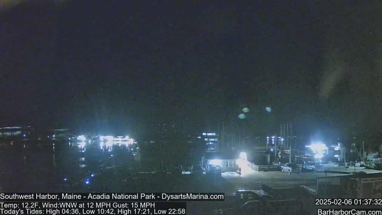A nighttime view of a harbor with boats and buildings under a dark, clear sky.