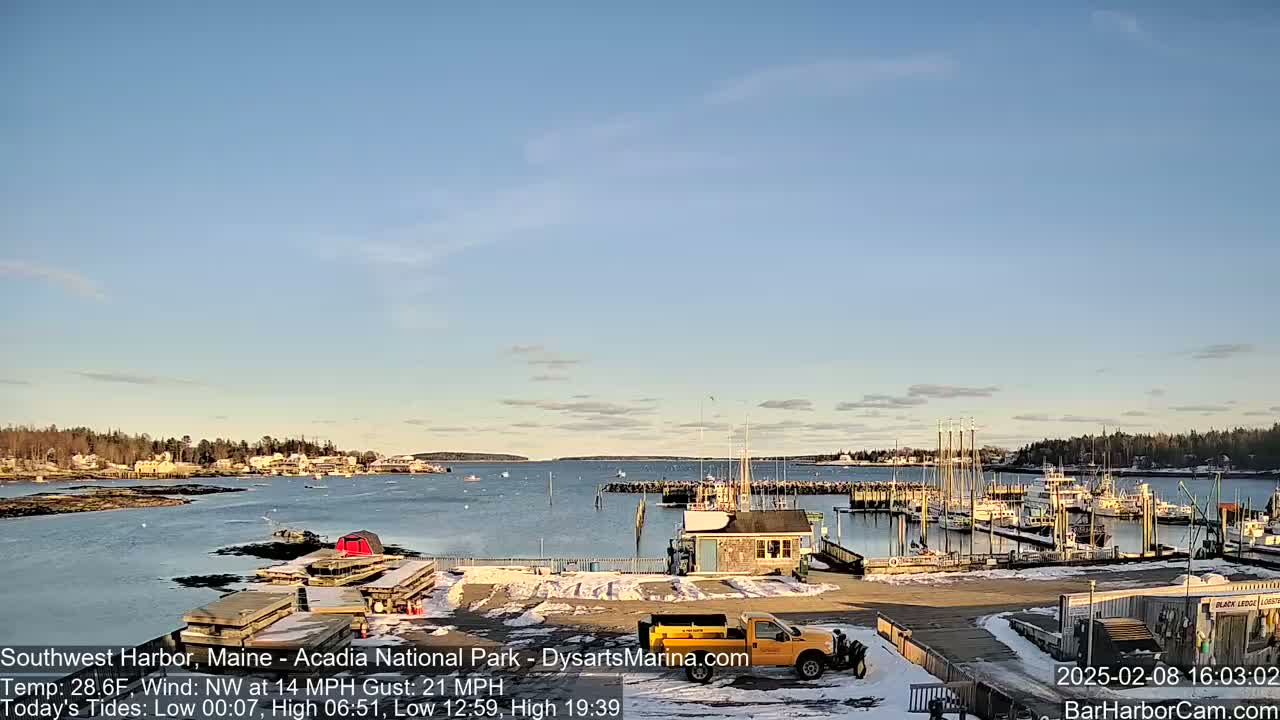 A harbor with numerous boats docked under a clear, mostly sunny sky, some snow is visible on the ground.