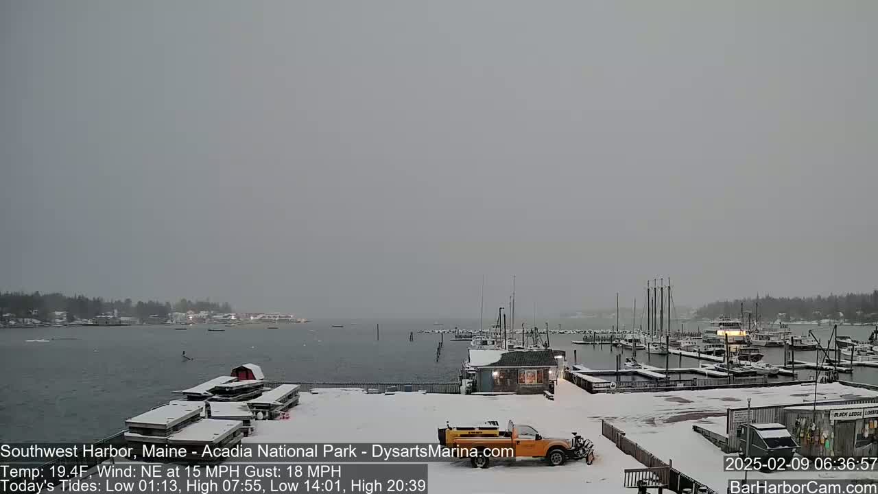 A snow-covered marina with boats docked, a snowplow, and a small building is seen on a gray, overcast day.