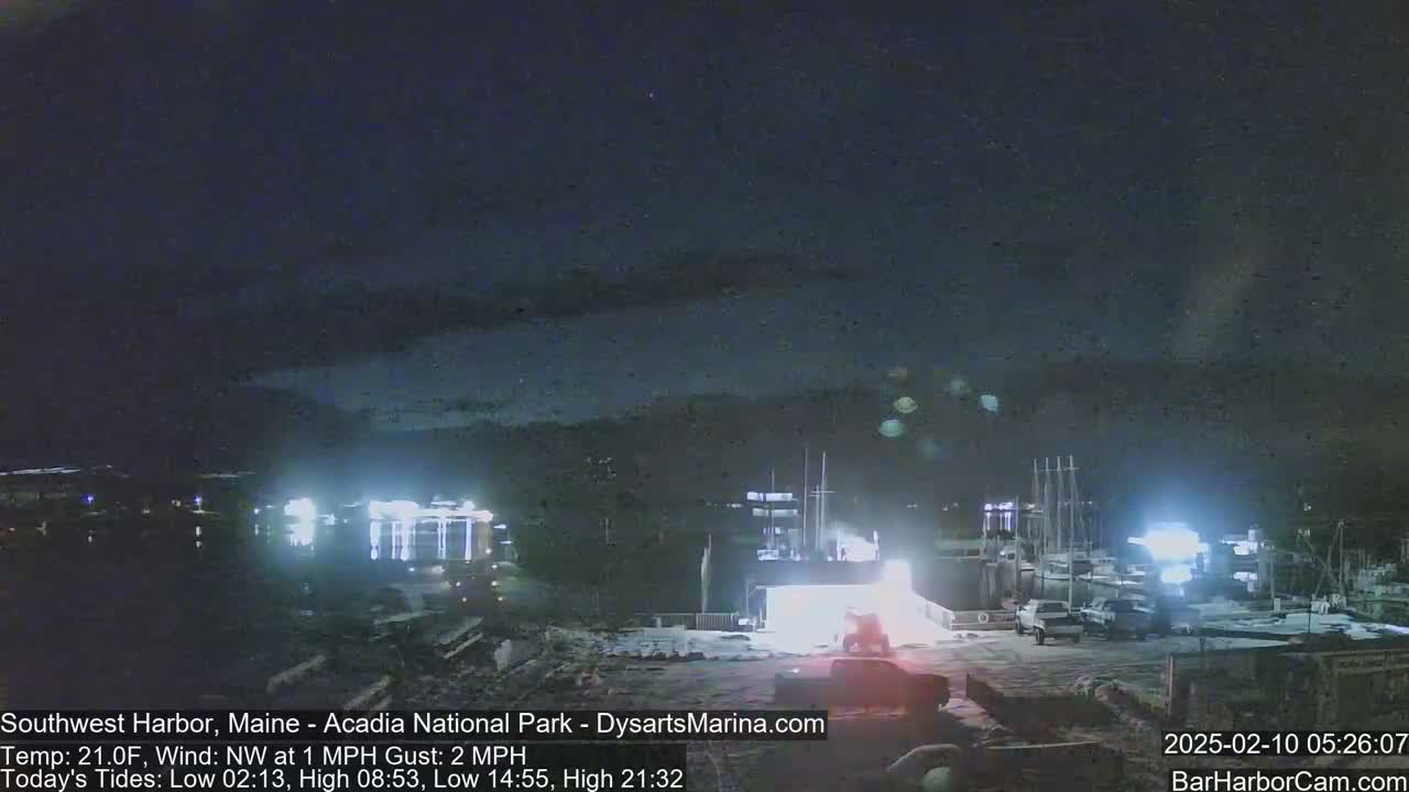 A nighttime view of a harbor with boats docked, under a dark, clear sky.