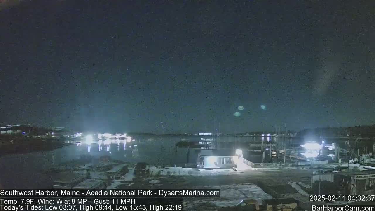 A nighttime view of a marina with boats docked, under a dark, mostly clear sky with a few lights visible in the distance.
