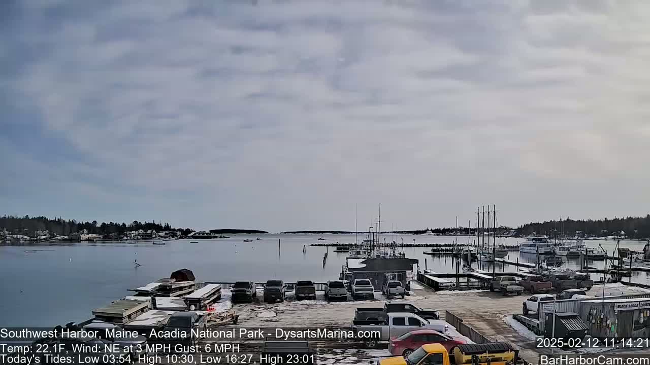A harbor with boats moored at a marina, cars in a parking lot, and a small town across the water under a mostly cloudy sky.