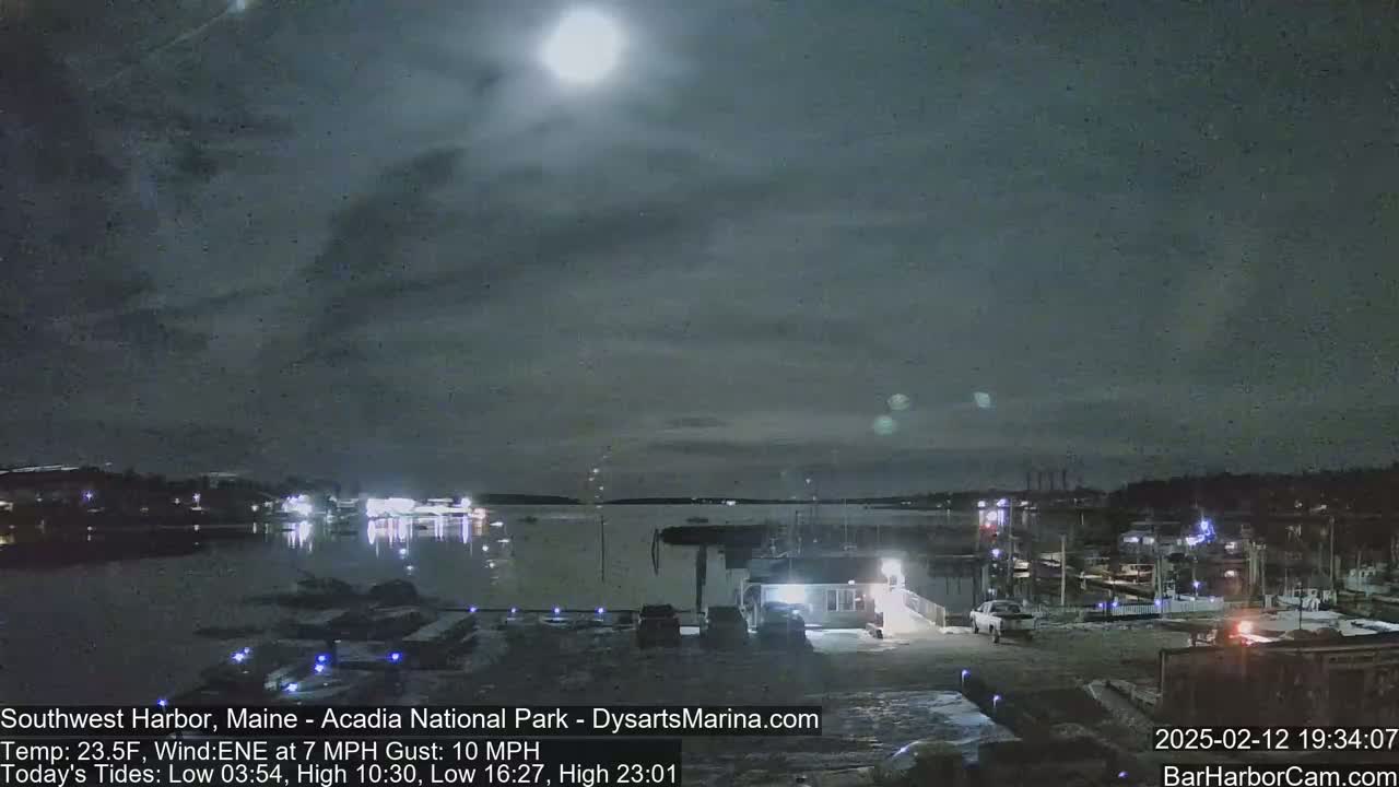 A nighttime view of a harbor with a bright moon in the sky, calm water, and several boats docked.