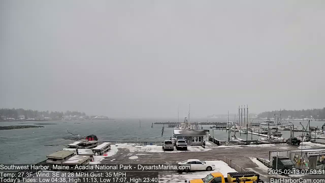 A snow-covered harbor with boats docked and several vehicles parked in a marina, under a gray, overcast sky.