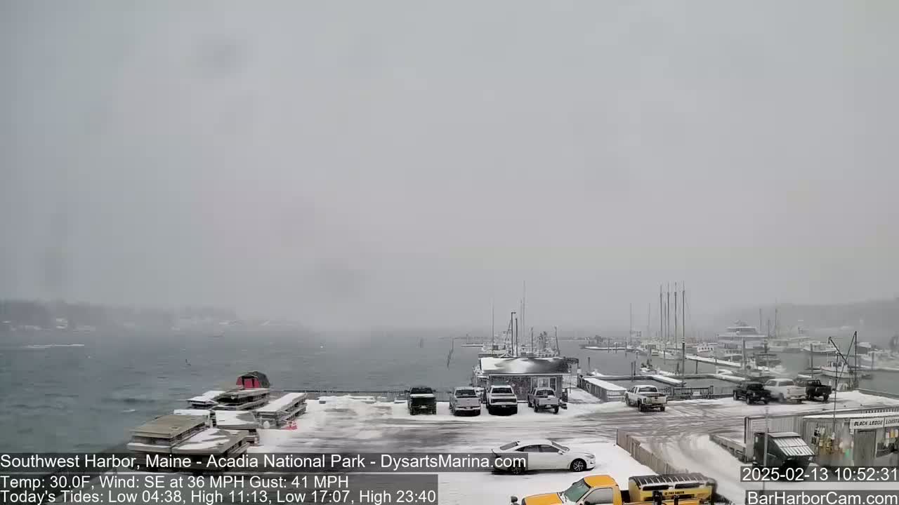 A snow-covered harbor with parked cars and boats, under a heavy, gray, snowy sky with a strong southeast wind.