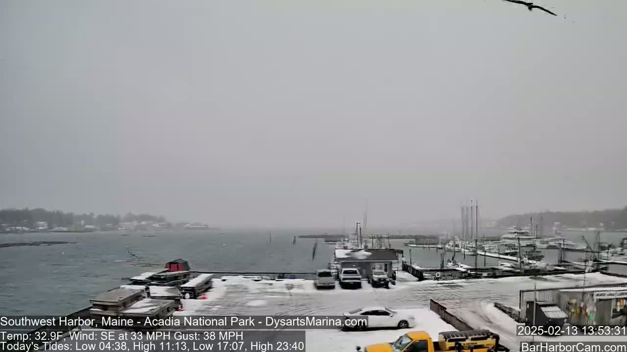 A snow-covered harbor with boats docked, cars parked, and a bird flying overhead in snowy conditions.
