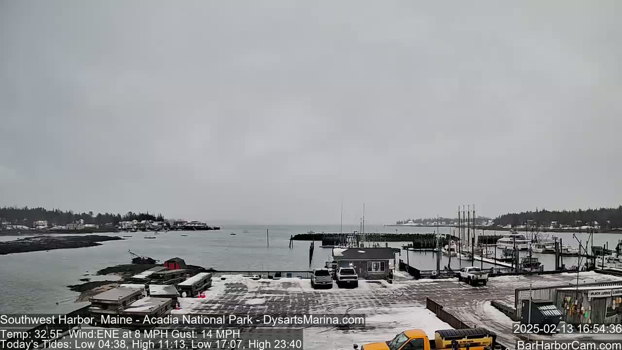 A snow-covered harbor scene shows boats docked at a marina, with a town visible across the water under an overcast sky.