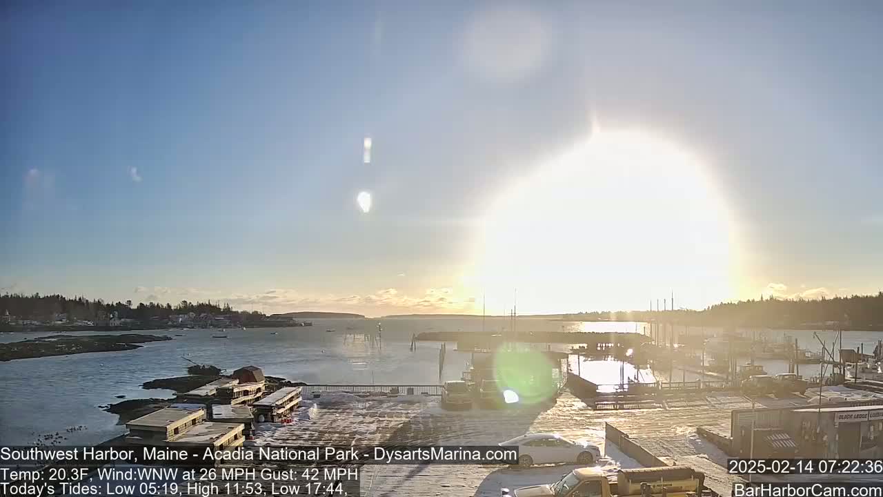 A sunny, snow-dusted harbor scene features a calm body of water with boats docked, a parking lot with several cars, and a distant treeline under a bright, mostly clear sky.