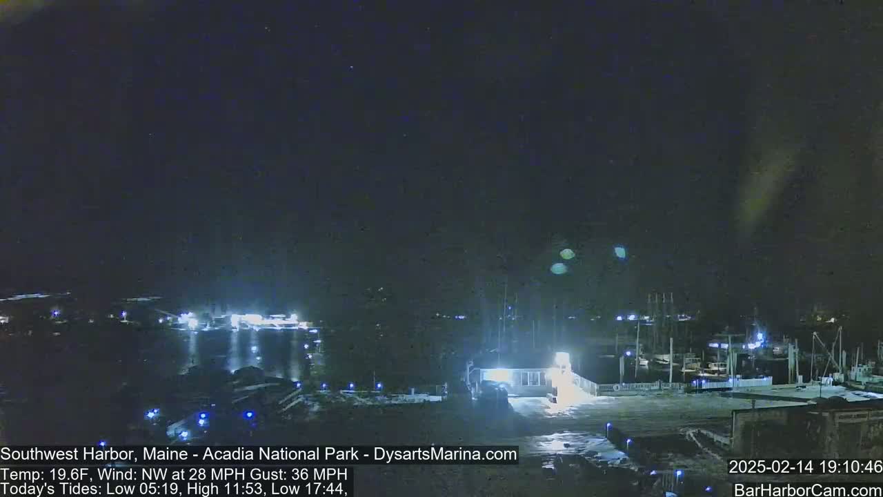 A nighttime view of a harbor with boats, buildings, and a dark sky under windy conditions.