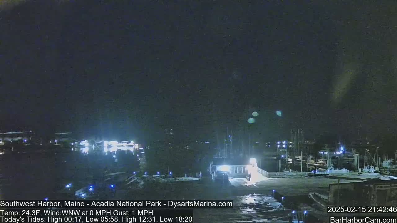A nighttime harbor scene with docked boats under a clear, dark sky.