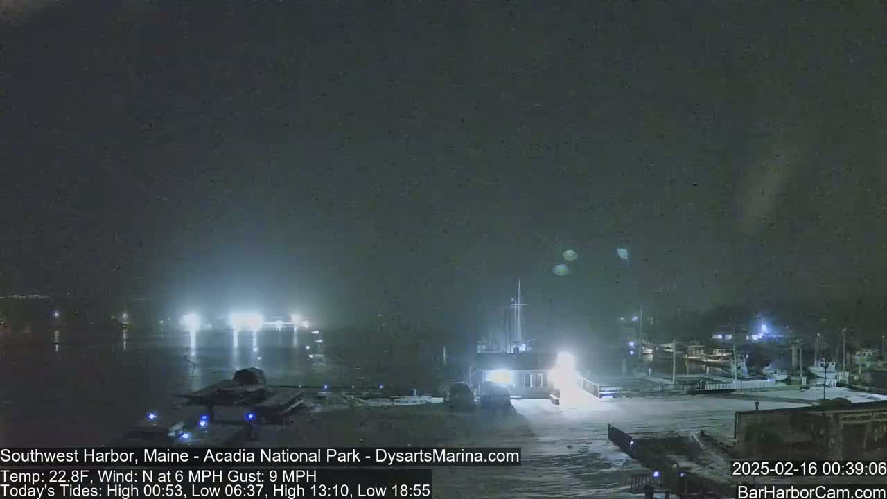 A snow-covered harbor at night, with boats docked and lights illuminating the scene under a dark, snowy sky.