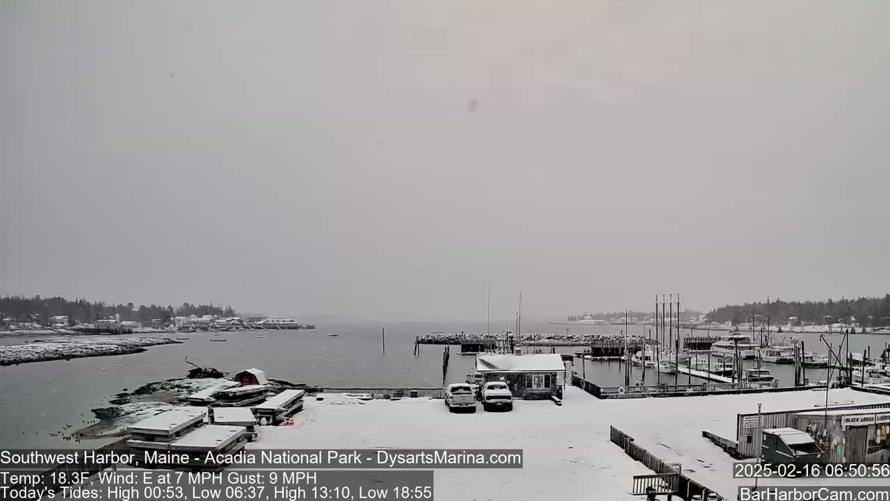 A snow-covered harbor scene shows a marina with boats and several buildings under a lightly snowing, overcast sky.