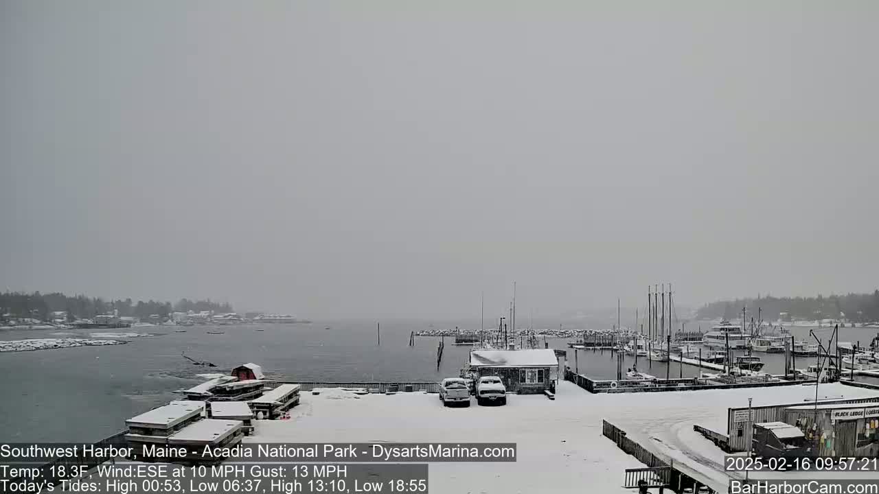 A snow-covered harbor with boats docked, and a few cars parked near a small building, under an overcast sky.