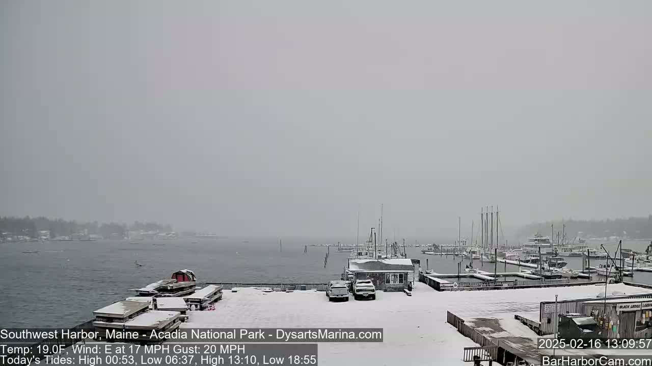 A snow-covered harbor with boats docked, seen under an overcast sky with a light snowfall.