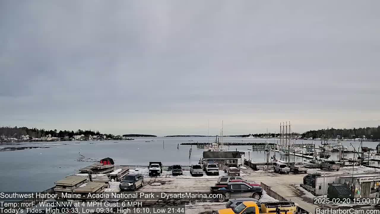 A snow-dusted harbor scene shows numerous boats docked at various piers, with a calm body of water under an overcast sky.