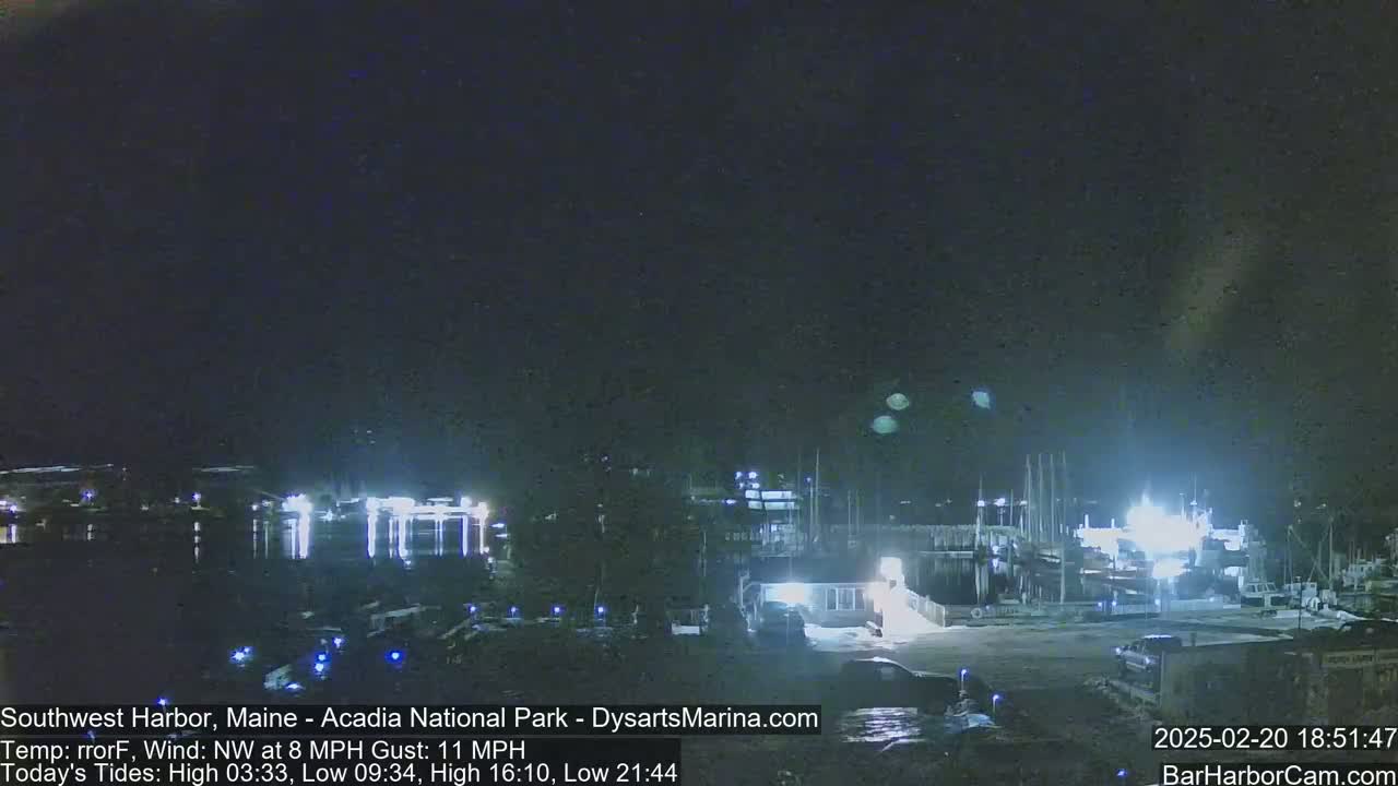 A nighttime view of a harbor with boats and docks under a dark, clear sky.