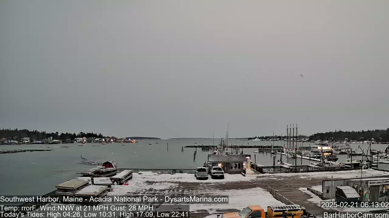 A snow-covered harbor with boats docked, and a town in the background under an overcast sky.