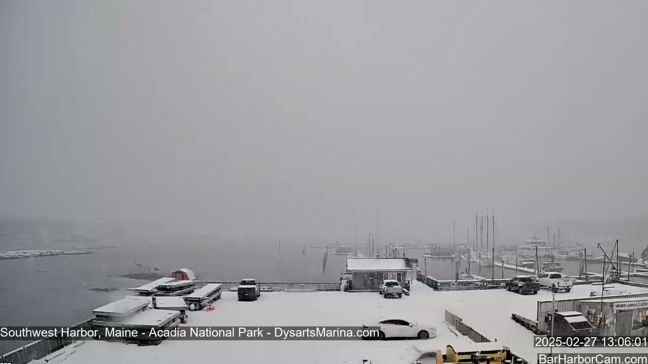 A snow-covered marina with boats and cars is visible through heavy snowfall over a body of water.