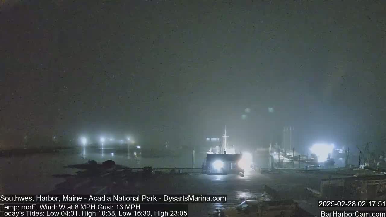 A foggy night scene shows a harbor with lights illuminating boats and buildings along a waterfront.