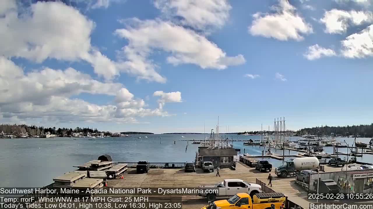 A harbor with many boats docked under a partly cloudy sky.