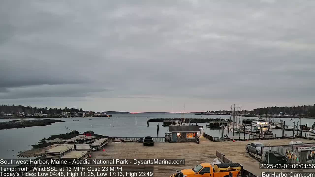A harbor with docked boats is seen at sunrise under an overcast sky, with a moderate wind.