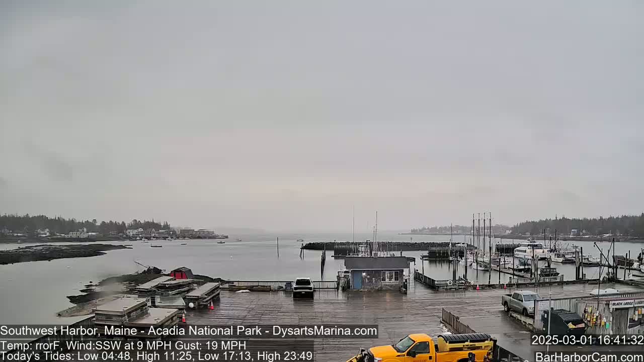 A harbor with docked boats and a few vehicles is shown on an overcast day with a light wind.