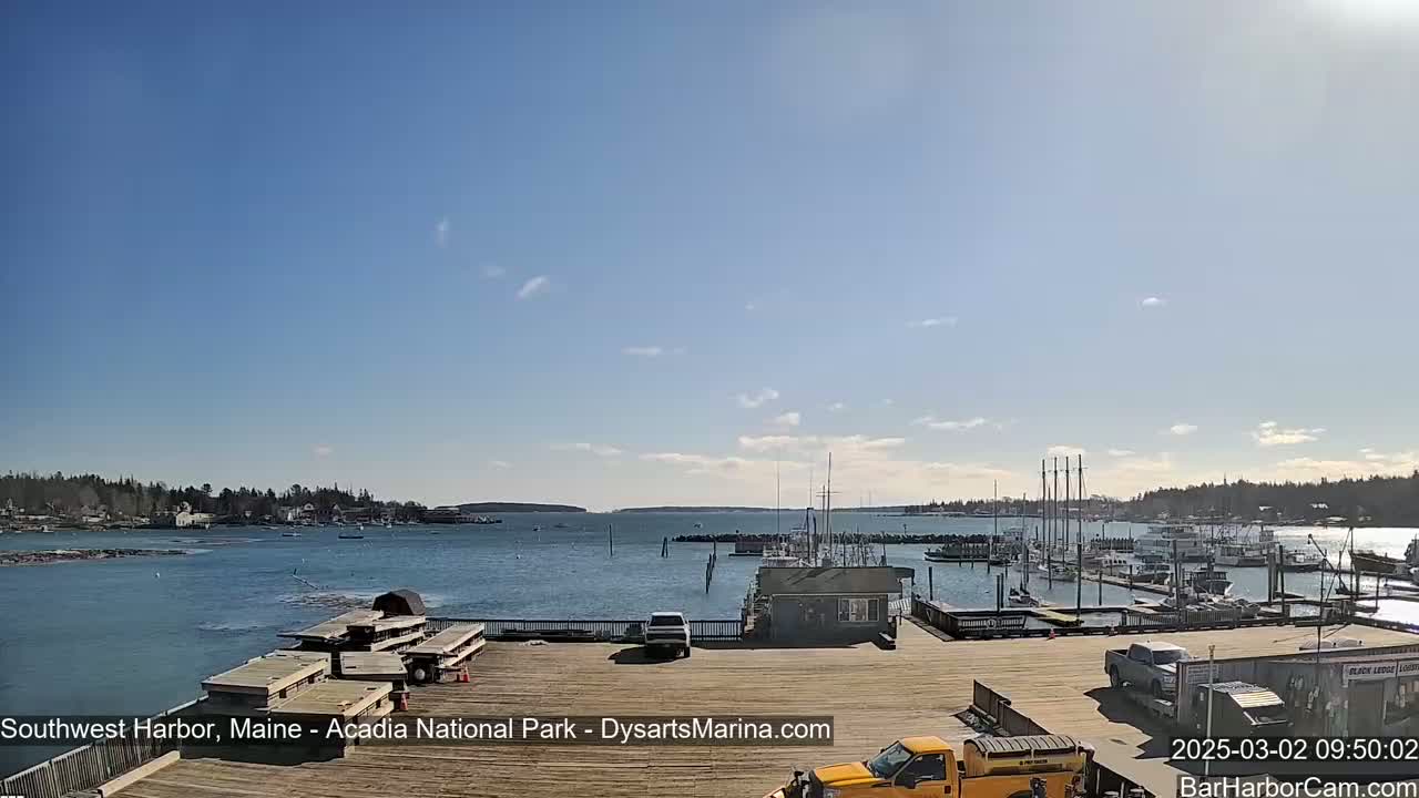 A sunny day reveals a harbor filled with boats and a wooden dock with several vehicles parked on it.