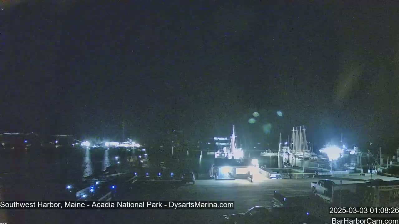 A nighttime view of a harbor with several boats docked, under a dark, clear sky.