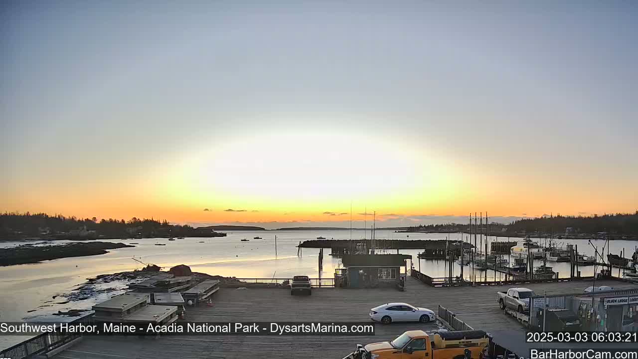 A calm harbor filled with docked boats is seen at sunrise under a clear, pale orange and yellow sky.