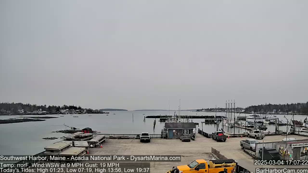 A harbor with numerous boats docked, a few vehicles parked nearby, and a calm body of water under an overcast sky.