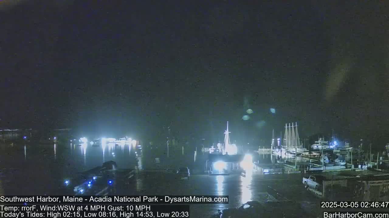A nighttime harbor scene shows numerous boats docked at a marina under a dark, slightly overcast sky.