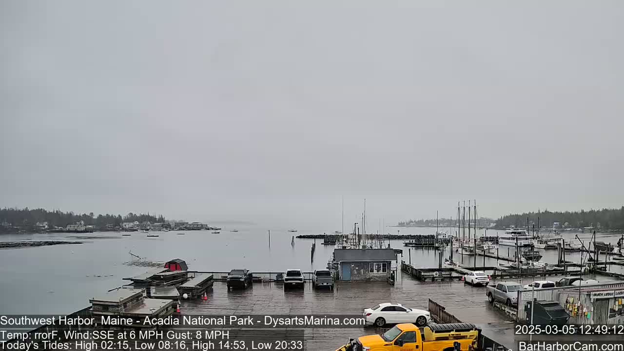 A harbor with boats docked, cars in a parking lot, and a few buildings is visible on an overcast day.