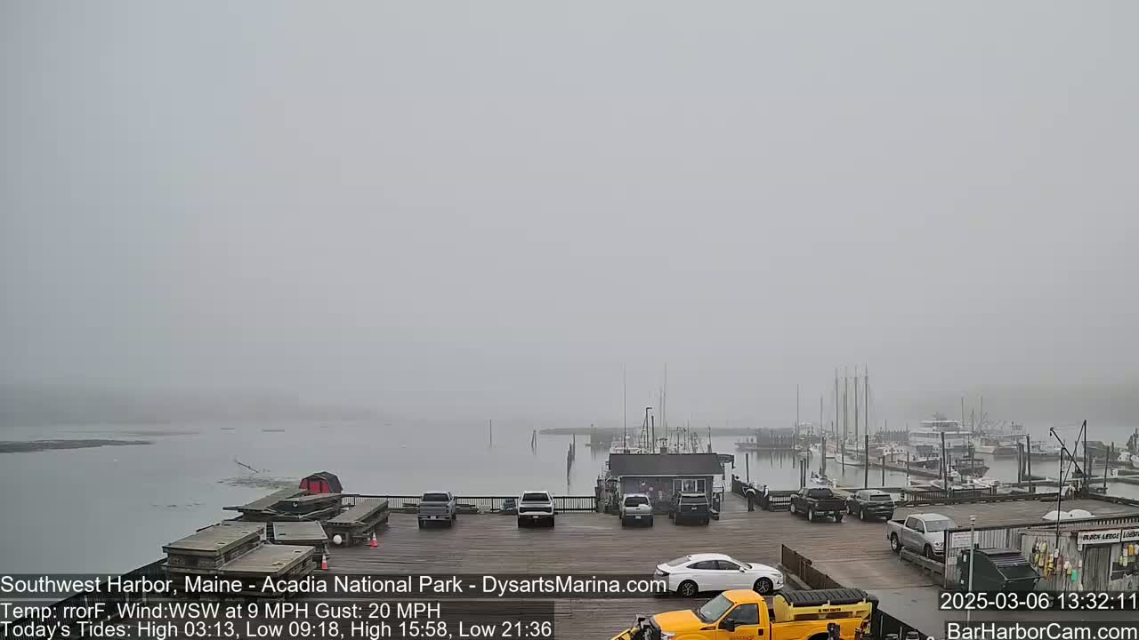 A foggy harbor scene shows several docked boats and cars parked in a lot on a pier.
