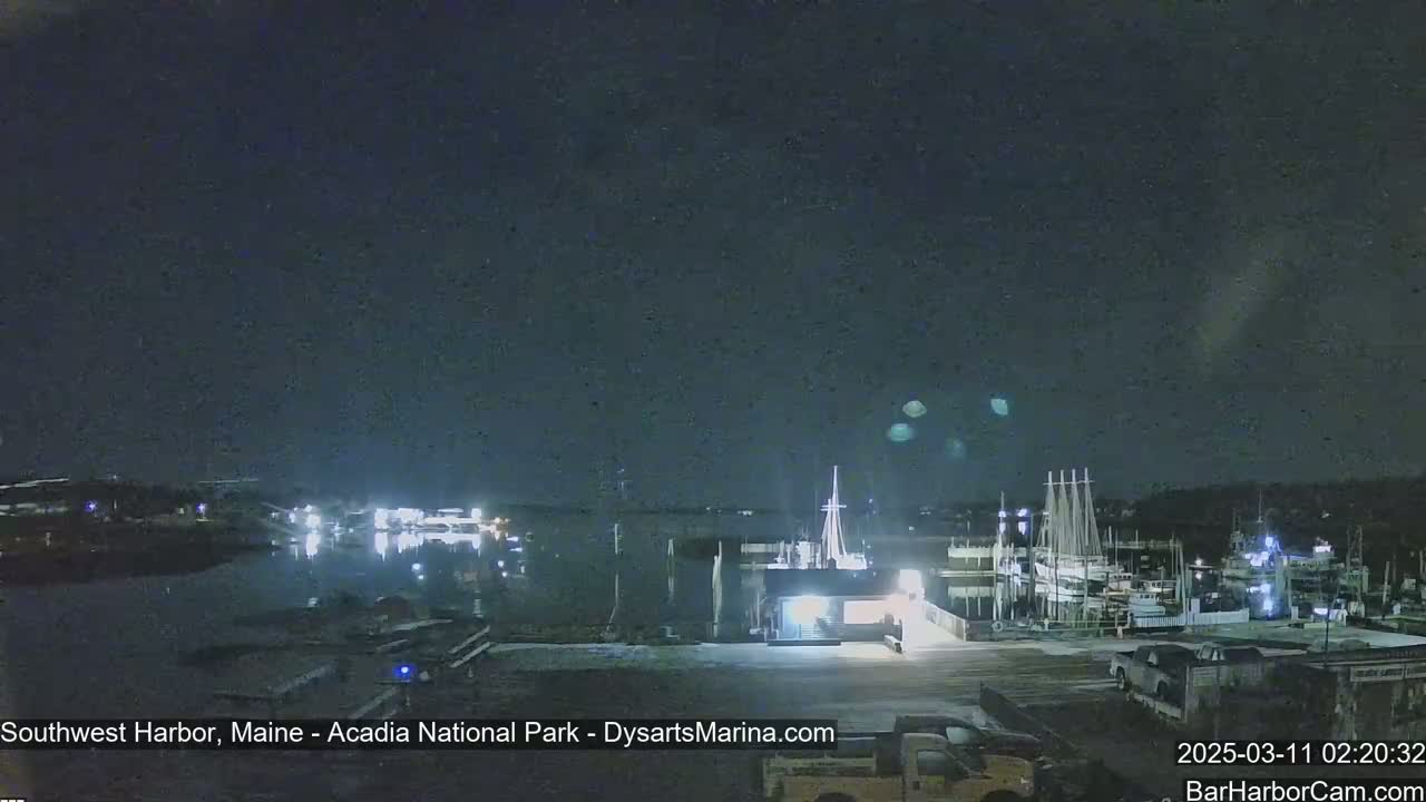 A nighttime view of a harbor with boats docked, under a dark, clear sky.