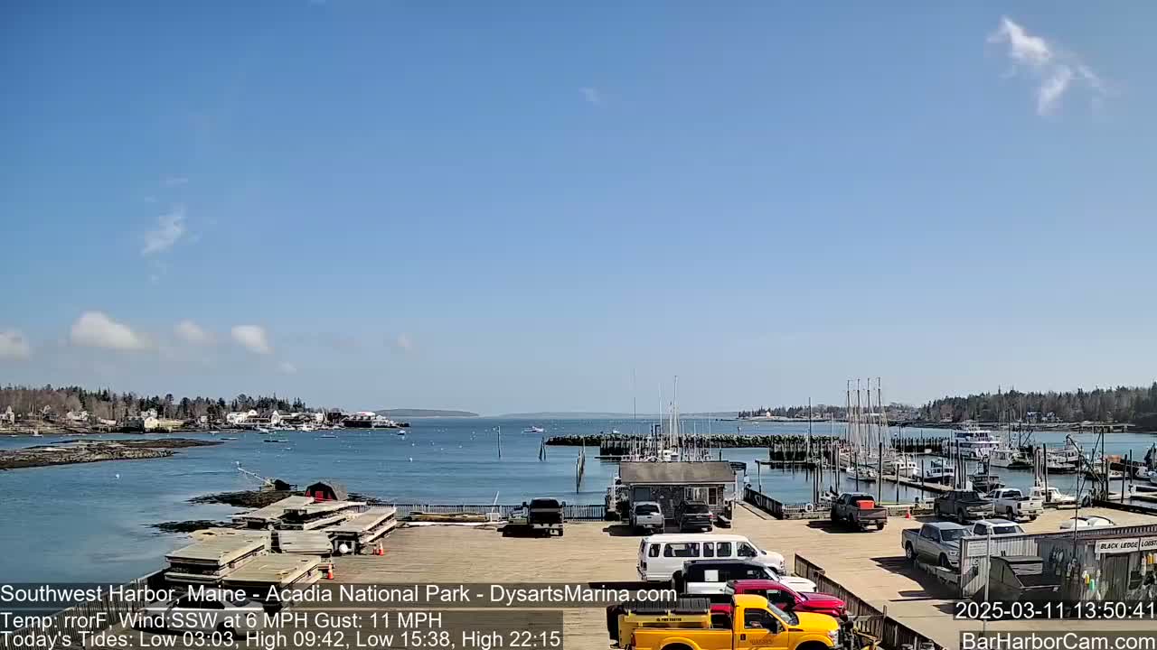 A sunny harbor scene with a calm body of water, numerous boats docked at a marina, and a parking lot with several vehicles.