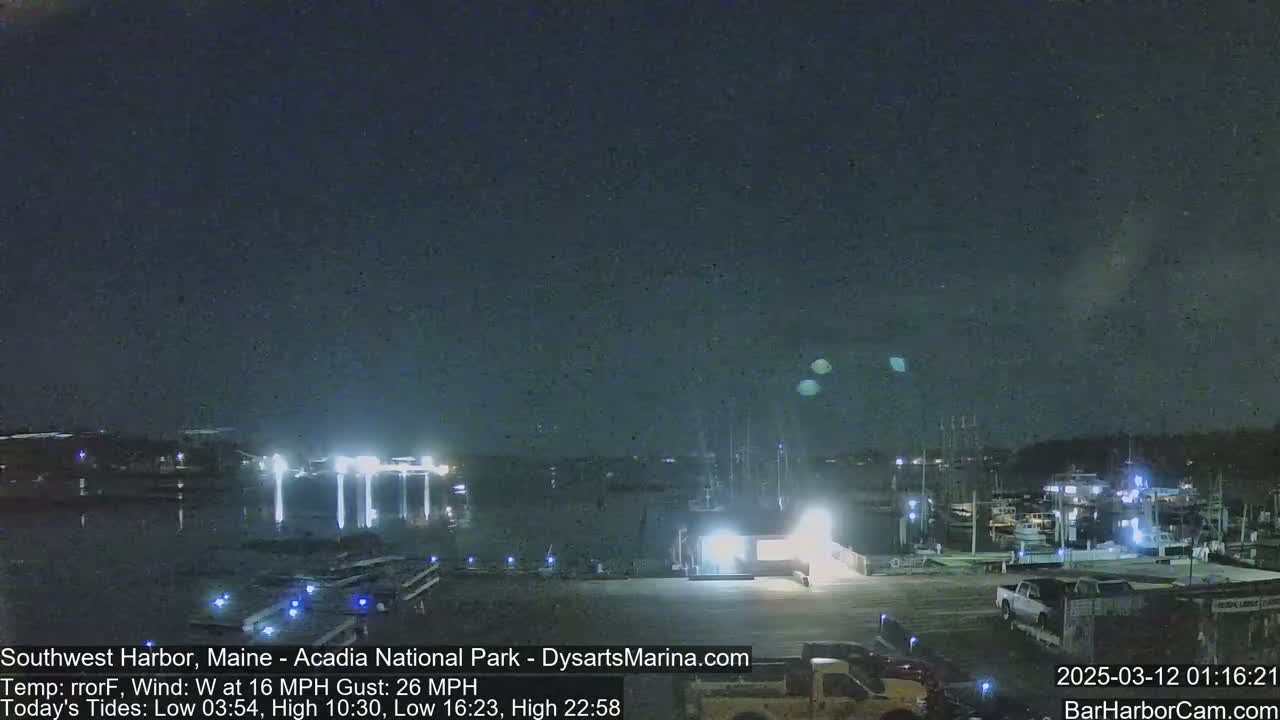 A nighttime harbor scene shows docked boats, a parking lot with vehicles, and a dark sky with a few faint lights.