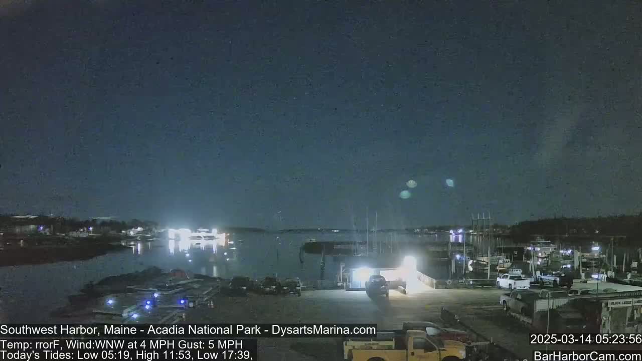 A nighttime view of a harbor with boats docked, a parking lot with vehicles, and a calm body of water under a dark, clear sky.