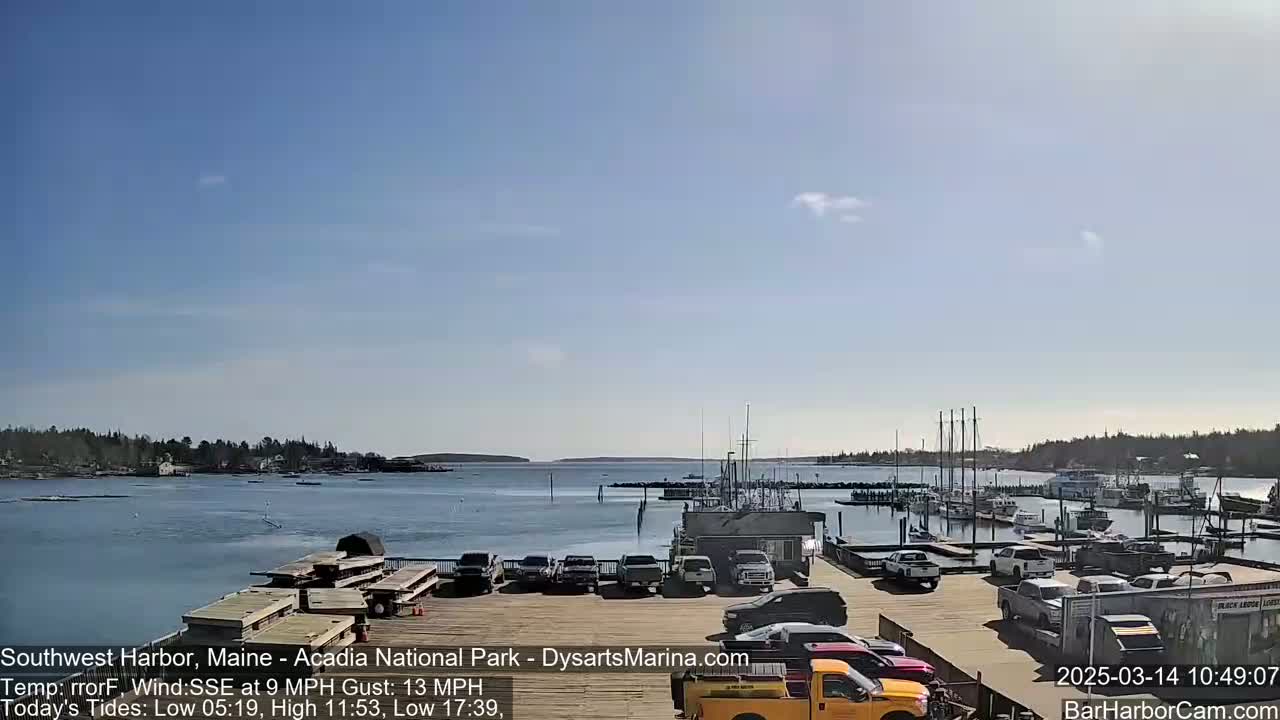 A sunny day shows a harbor filled with boats, a parking lot with several vehicles, and a calm body of water under a mostly clear sky.