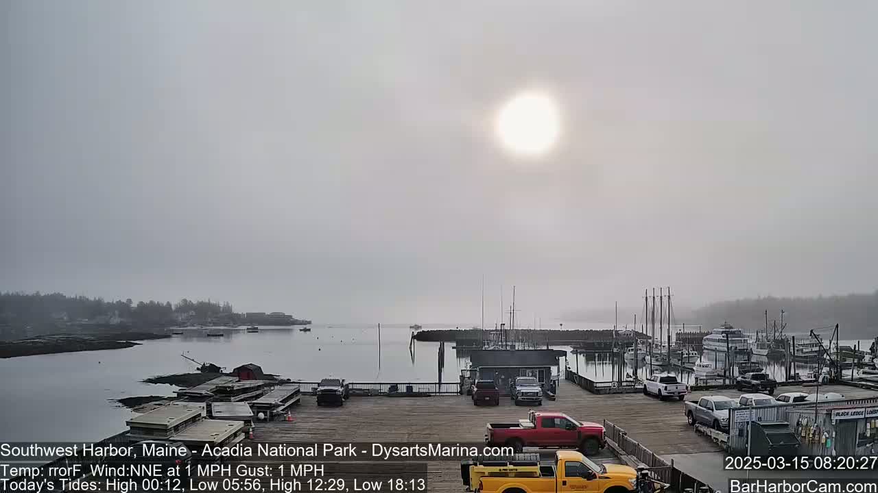 A hazy sun shines over a harbor filled with boats and cars parked on a pier in foggy conditions.