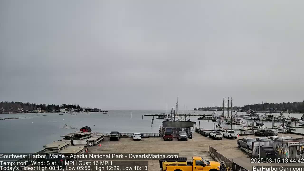 A harbor with numerous boats docked, cars parked in a lot, and a calm body of water under an overcast sky.